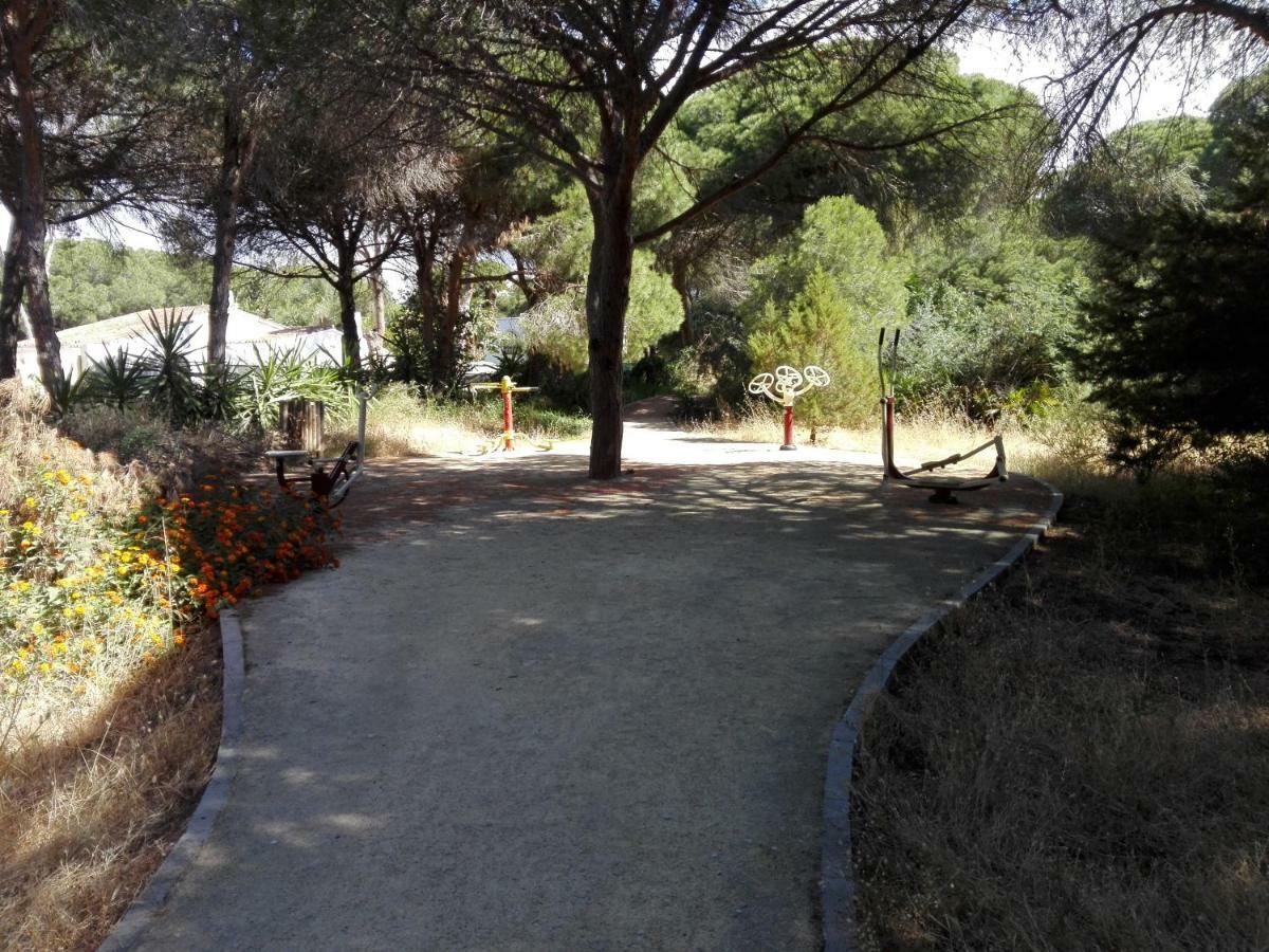 Apartamento En Los Patios De Santa Maria Golf ماربيا المظهر الخارجي الصورة